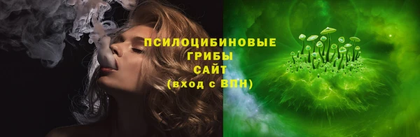 ECSTASY Алзамай