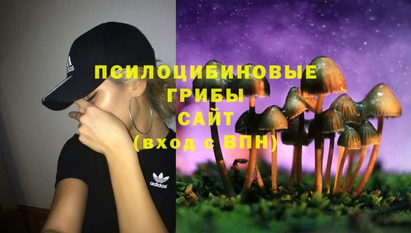 а пвп мука Алексеевка