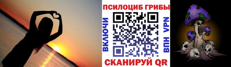 Галлюциногенные грибы Psilocybe дарнет шоп MEGA ONION Камызяк