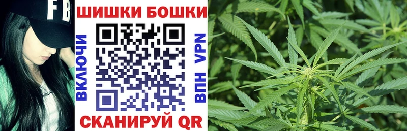 Бошки марихуана индика  где купить наркоту  блэк спрут рабочий сайт  Камызяк 